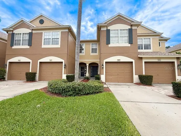 8505 Sandy Beach Street, TAMPA, FL 33634