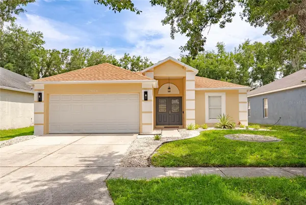 19204 Wood Sage Drive, TAMPA, FL 33647