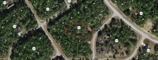 9328 N Rada Terrace, DUNNELLON, FL 34434