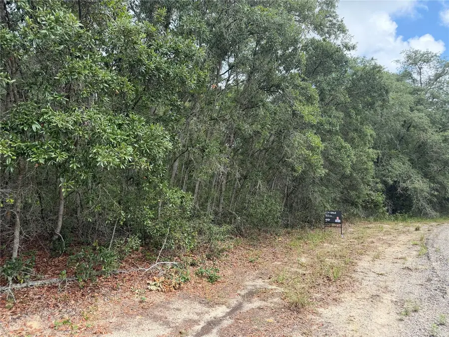 9328 N Rada Terrace, Dunnellon, FL 34434 - #2