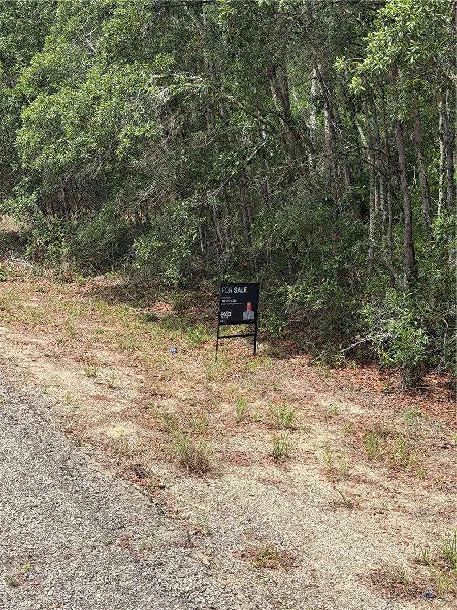 9328 N Rada Terrace, Dunnellon, FL 34434 - #3