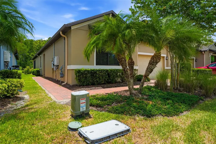 16952 Balance Cove, Land O Lakes, FL 34638 - #3