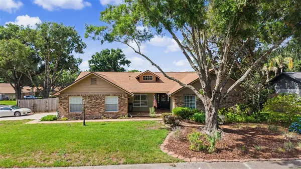 3916 Broomsedge Lane, VALRICO, FL 33596