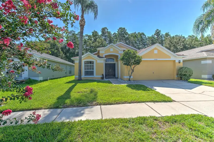 30914 Burleigh Drive, Wesley Chapel, FL 33543 - #2