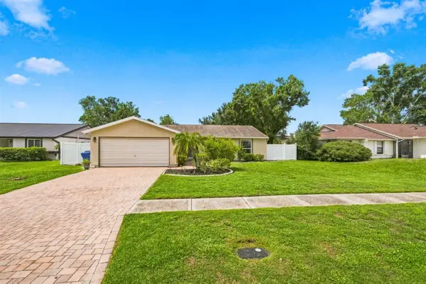 5309 Black Pine Drive, TAMPA, FL 33624