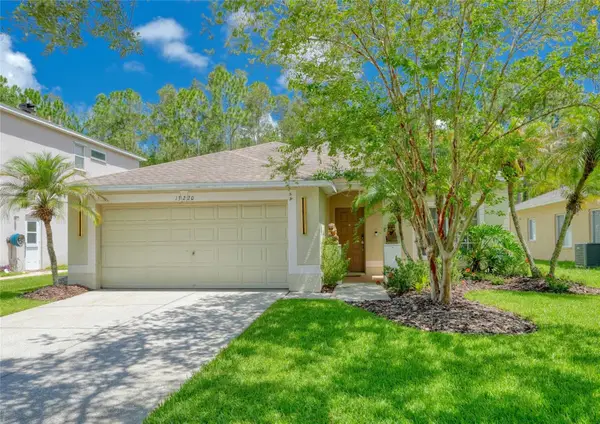 13220 Royal George Avenue, ODESSA, FL 33556