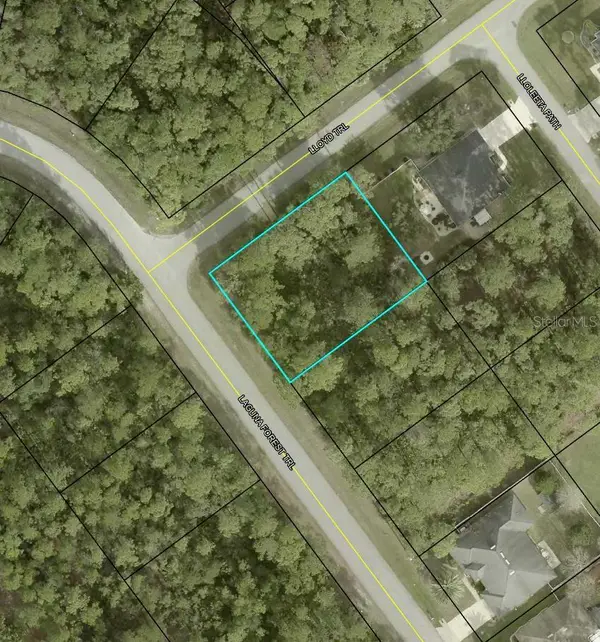 000 Laguna Forest Trail, PALM COAST, FL 32164