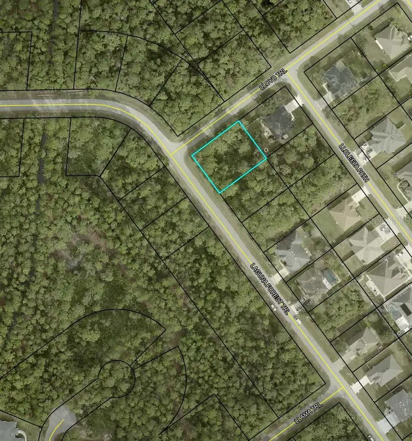 000 Laguna Forest Trail, Palm Coast, FL 32164 - #2