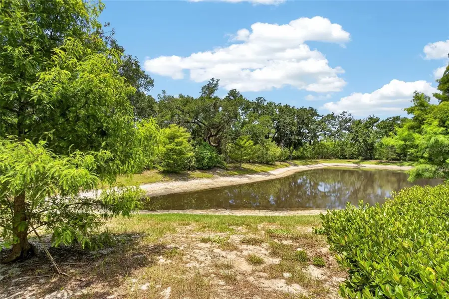 2911 Jacob Crossing Lane, Holiday, FL 34691 - #2