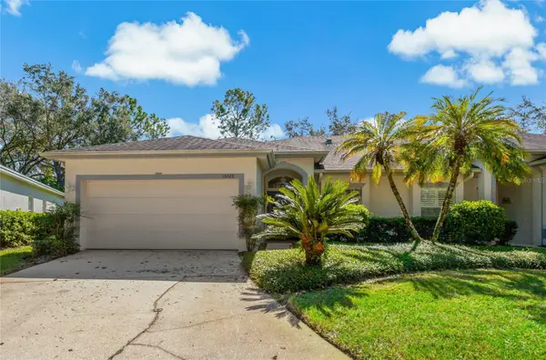 19029 Callaway Court, TAMPA, FL 33647
