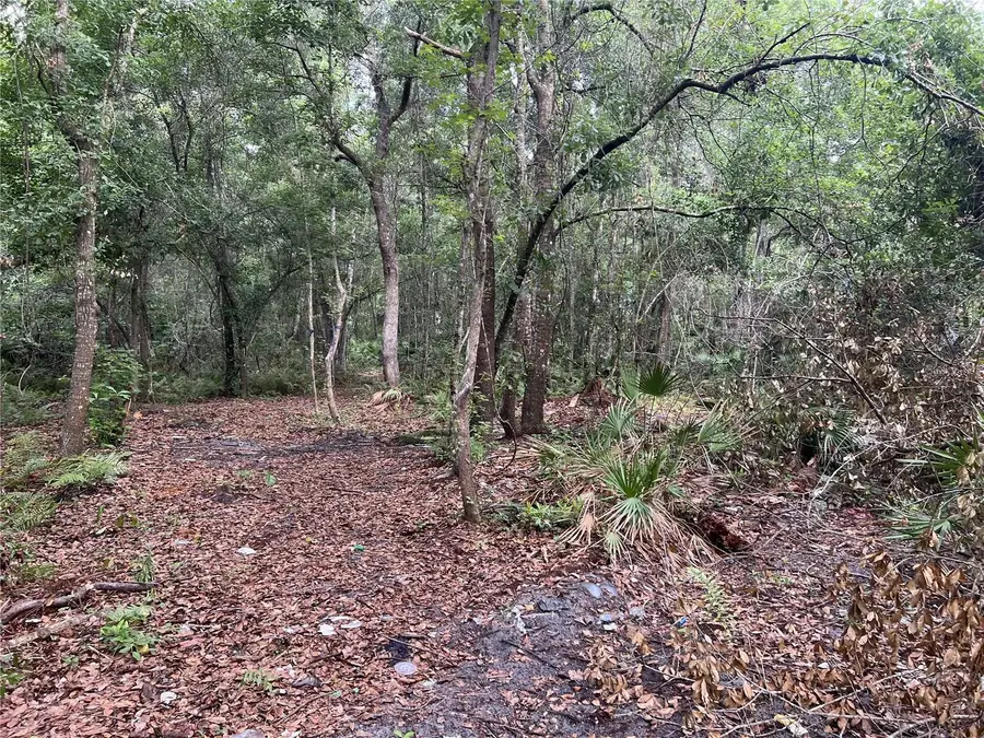 2322-2328 Rouse Road, Orlando, FL 32817 - #3