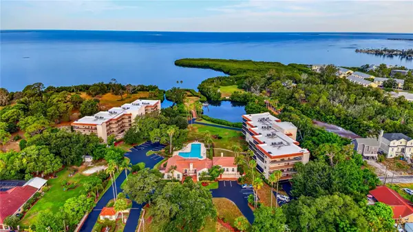 502 S Florida Avenue #124, TARPON SPRINGS, FL 34689