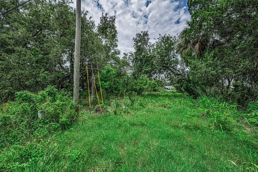 Lot 15 Rice Road, Hudson, FL 34667 - #2