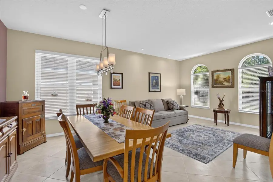 11115 Silver Dancer Drive, Riverview, FL 33579 - #3