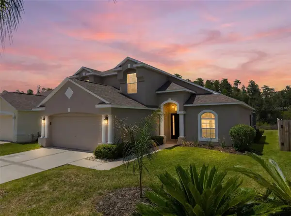 30609 Tremont Drive, WESLEY CHAPEL, FL 33543