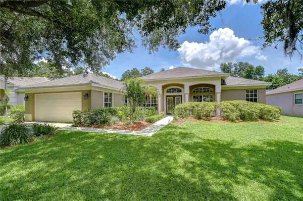 3512 Cordgrass Drive, VALRICO, FL 33596