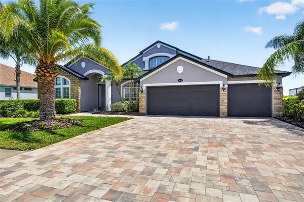 16339 Ivy Lake Drive, ODESSA, FL 33556