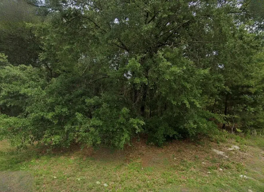 Unassigned, Ocala, FL 34473 - #2