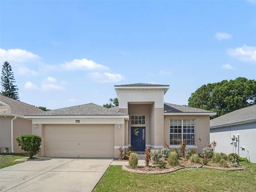 11102 Silver Dancer Dr, Riverview, FL 33579 - #2