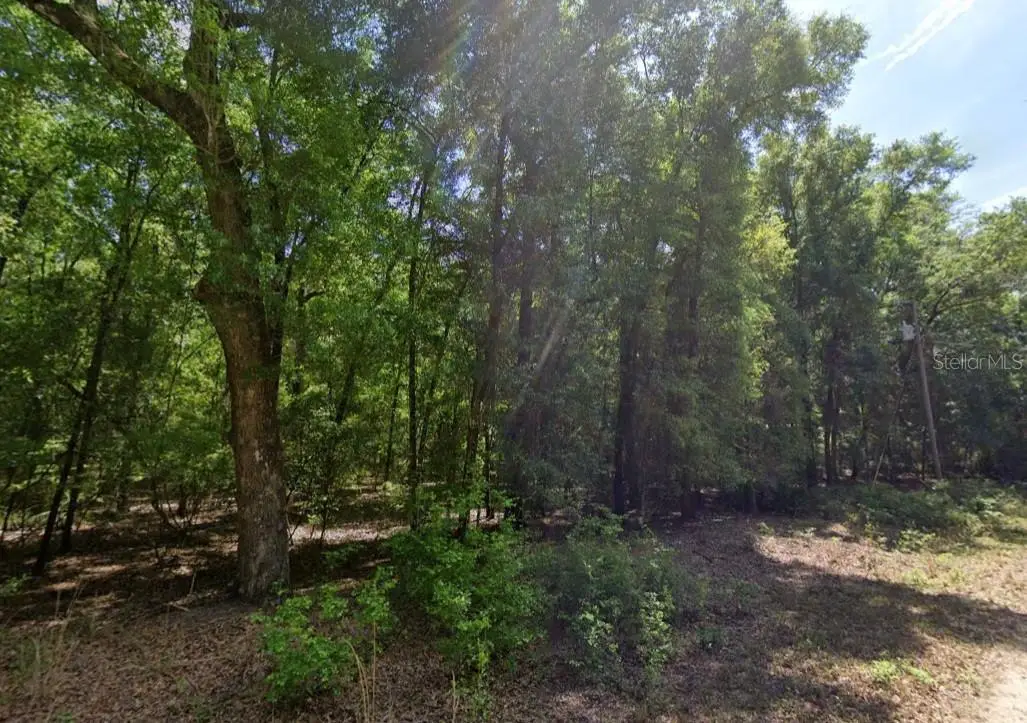 Ne Willow Bend Terrace, Lee, FL 32059 - #1