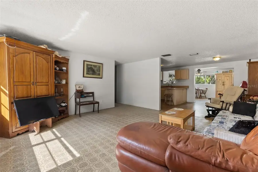 12631 Hobson Simmons Road, Lithia, FL 33547 - #3