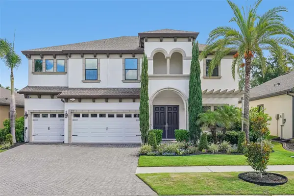 910 Grand Cresta Avenue, BRANDON, FL 33511