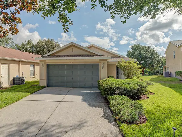 11620 Hammocks Glade Drive, RIVERVIEW, FL 33569
