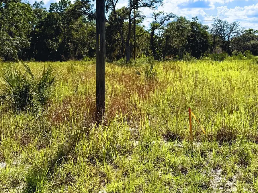 121 Central Avenue, Davenport, FL 33896 - #3