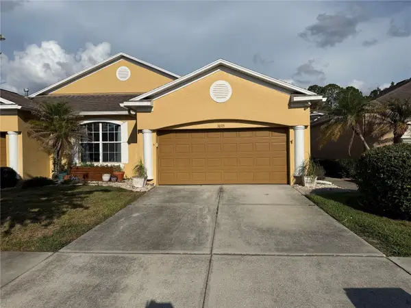 30335 Lettingwell Circle, WESLEY CHAPEL, FL 33543
