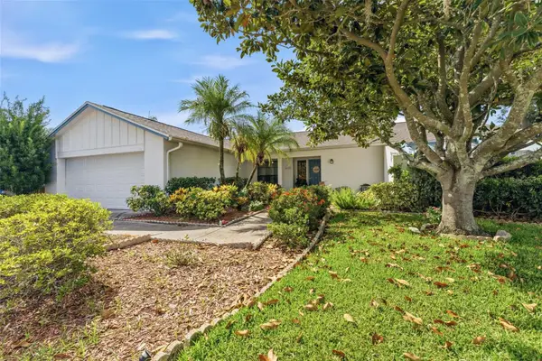 4002 Pebblestone Place, TAMPA, FL 33624