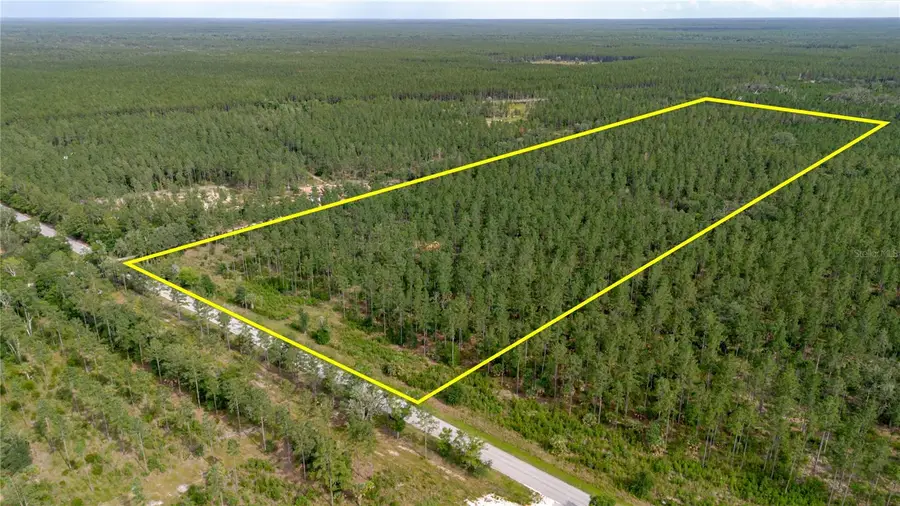 NE 90th Street Road, Fort McCoy, FL 32134 - #3