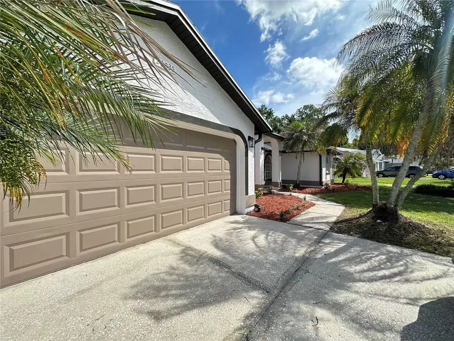 26035 Loblolly Lane, Land O Lakes, FL 34639 - #3