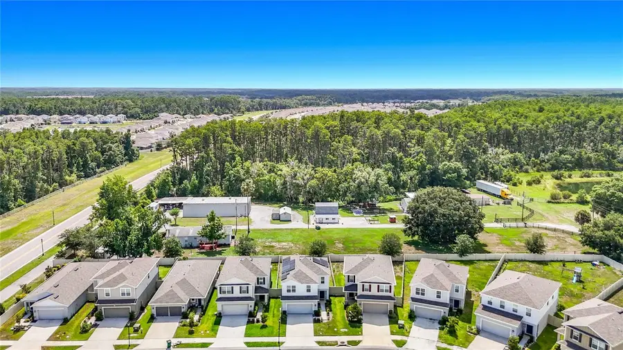10699 Old Sycamore Loop, Land O Lakes, FL 34638 - #2