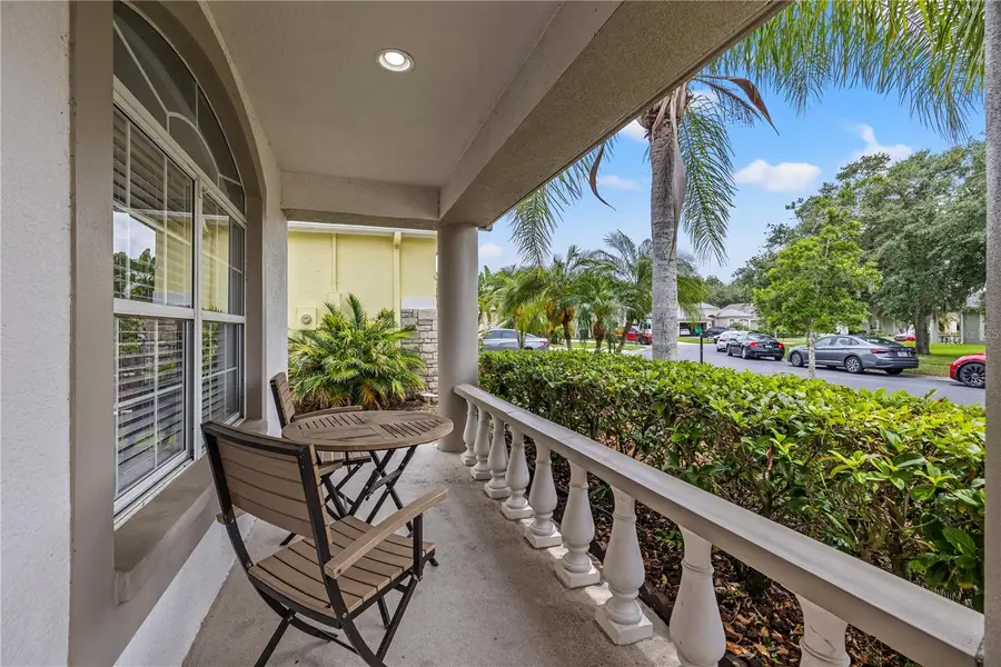 3056 Sunwatch Drive, Wesley Chapel, FL 33544 - #2