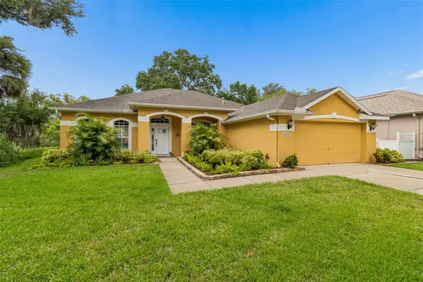 10035 Remington Drive, RIVERVIEW, FL 33578