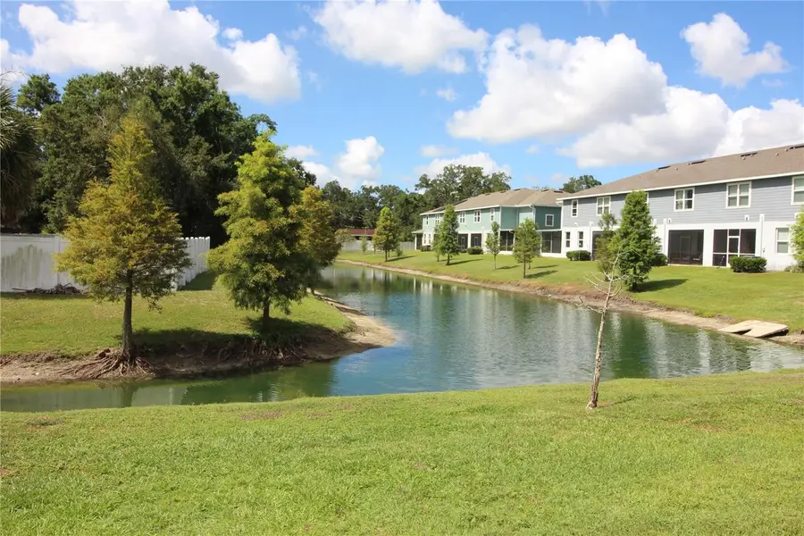 2135 Laceflower Drive, Brandon, FL 33510 - #3