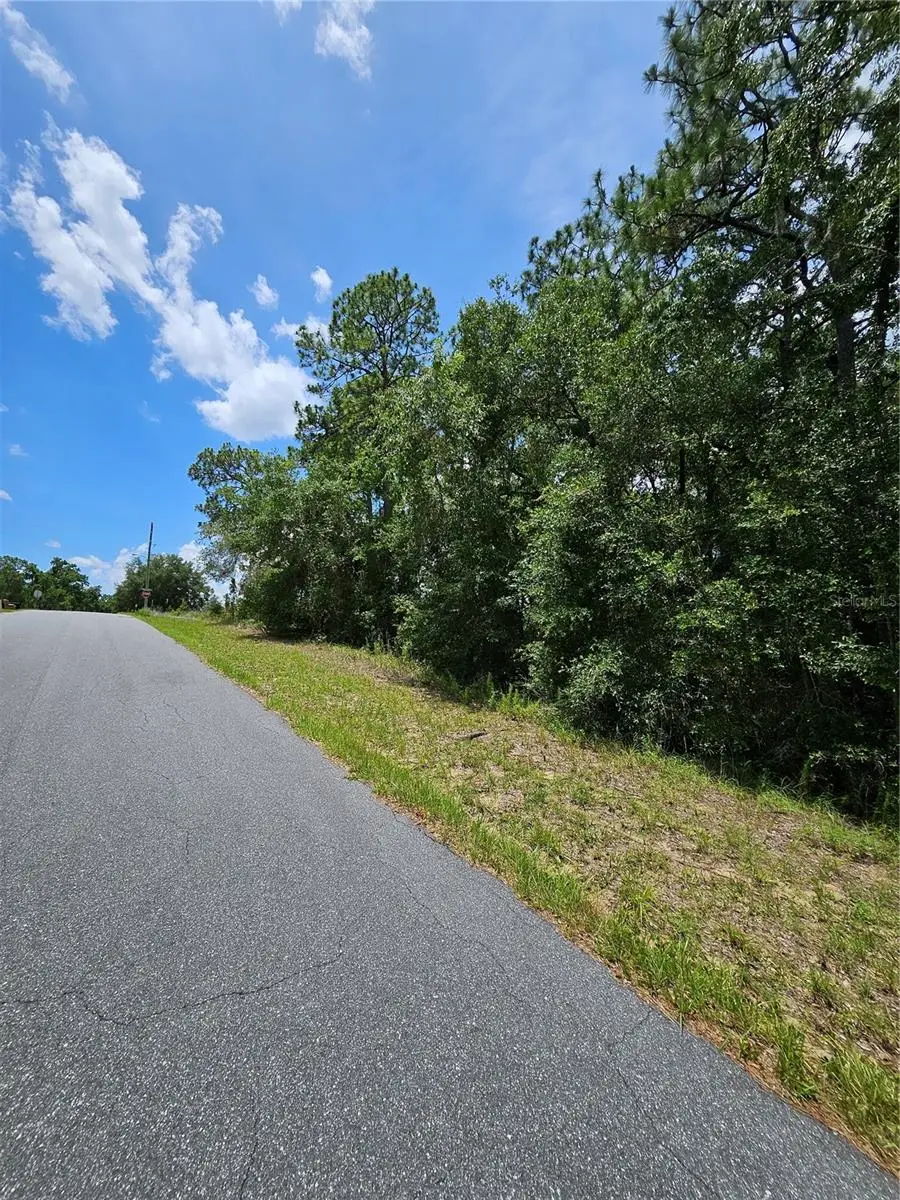 12350 S Elm Point, Floral City, FL 34436 - #3