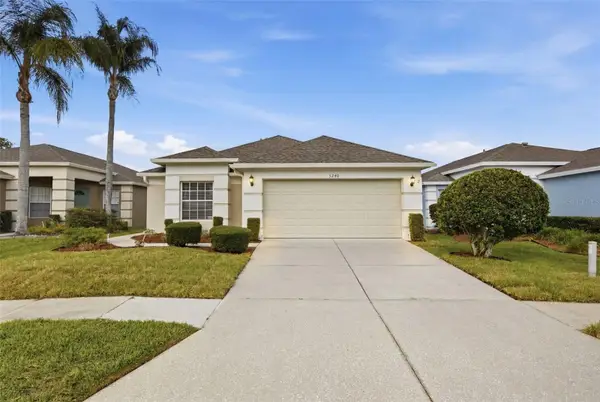 5240 Gato Del Sol Circle, WESLEY CHAPEL, FL 33544