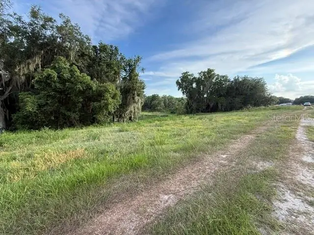Pool Branch Road, Fort Meade, FL 33841 - #3