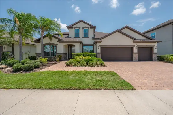 10404 Alcon Blue Drive, RIVERVIEW, FL 33578