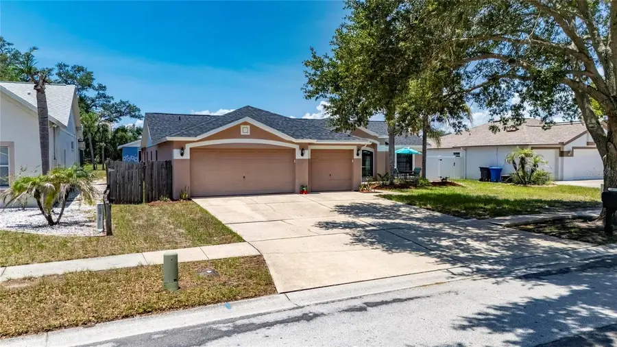 10313 Tarragon Drive, Riverview, FL 33569 - #3