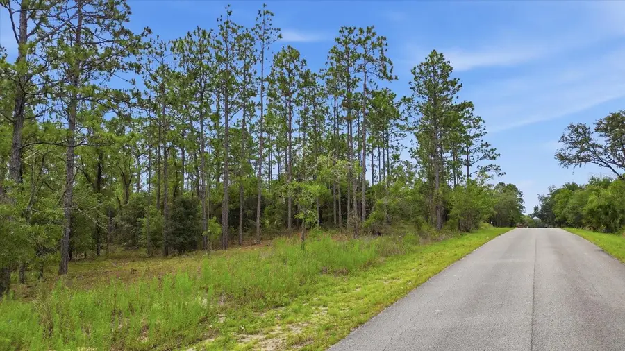 0000 SW Sands Point Ave Lot 38, Dunnellon, FL 34431 - #2