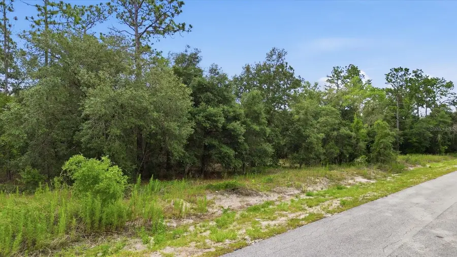 0000 SW Sands Pt Ave Lot 32, Dunnellon, FL 34431 - #3