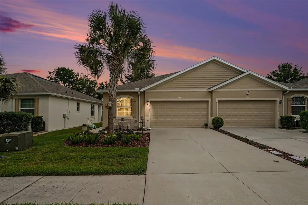 32983 Windelstraw Drive, Wesley Chapel, FL 33545 - #1