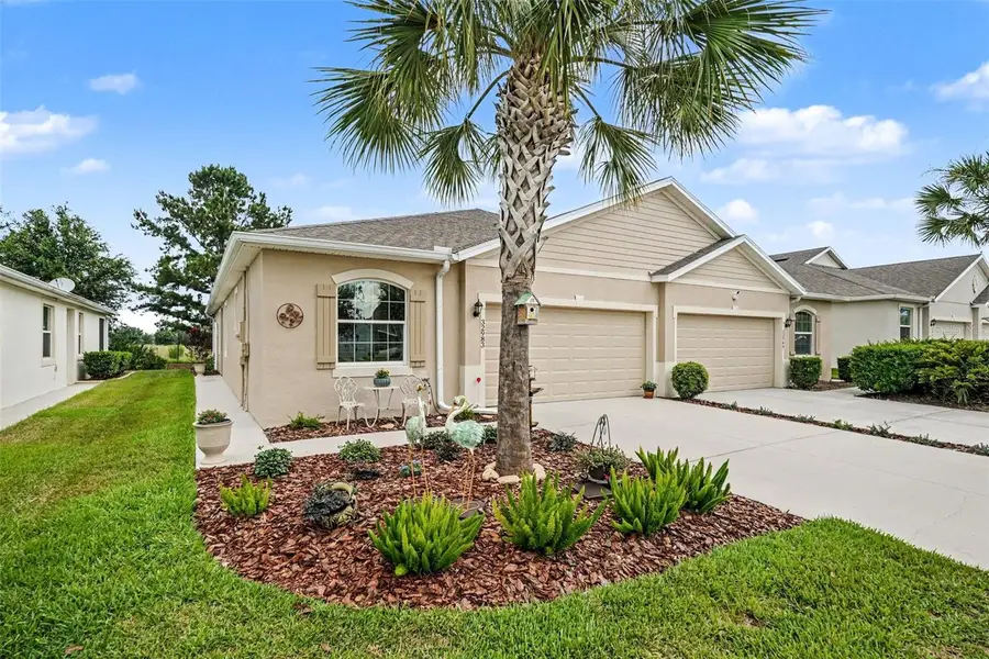 32983 Windelstraw Drive, Wesley Chapel, FL 33545 - #3