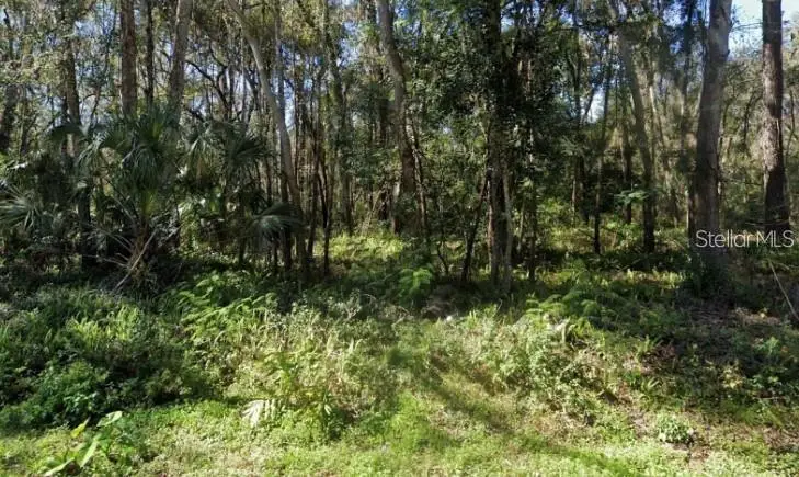 0 Zoller Street, Brooksville, FL 34601 - #1