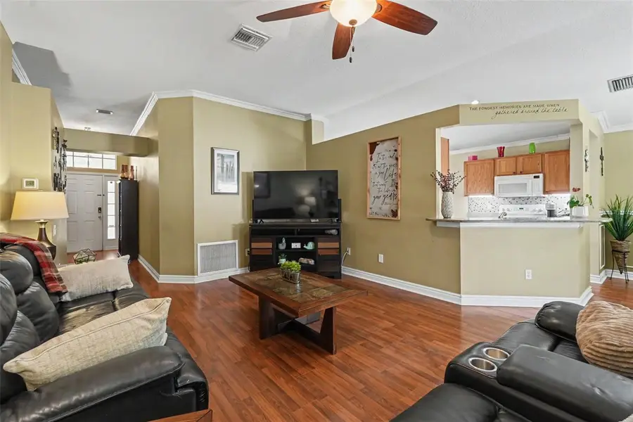 13241 Early Run Lane, Riverview, FL 33578 - #3