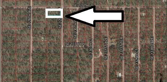 Lot 1 SE 129th Court, Dunnellon, FL 34431 - #1
