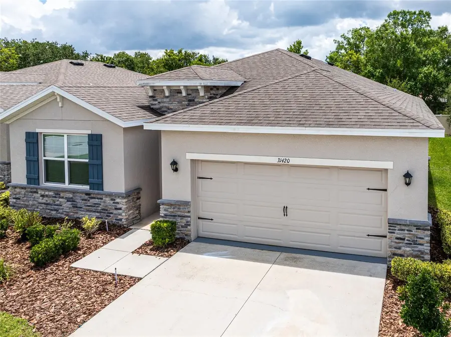 31420 Tansy Bend, Wesley Chapel, FL 33545 - #3
