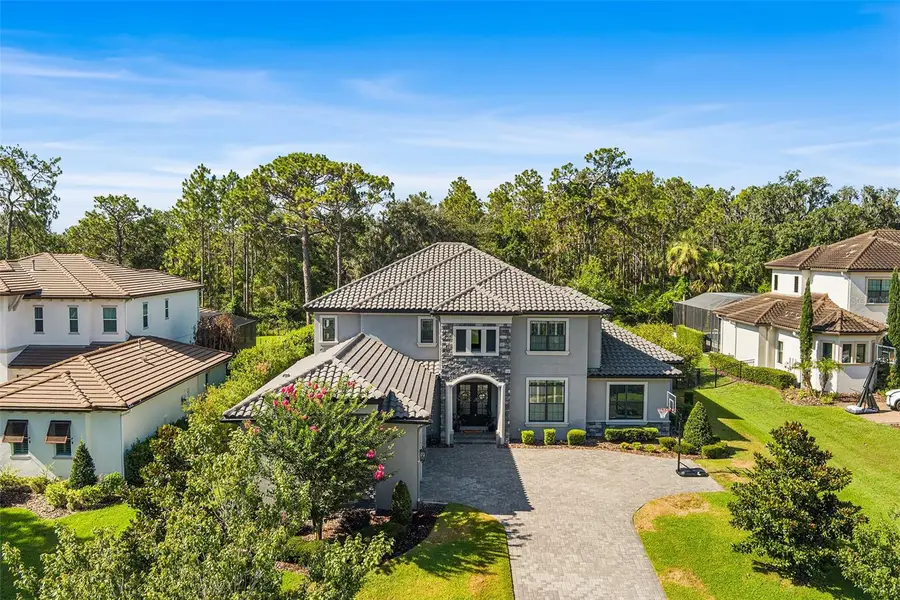 14704 Fishhawk Preserve Drive, Lithia, FL 33547 - #2